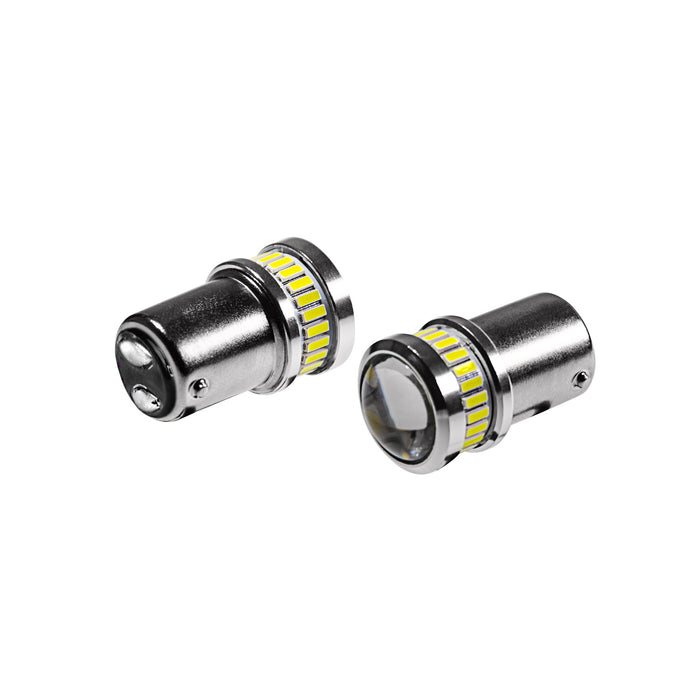 Dapper Lighting Revive LED Bulbs, 1142